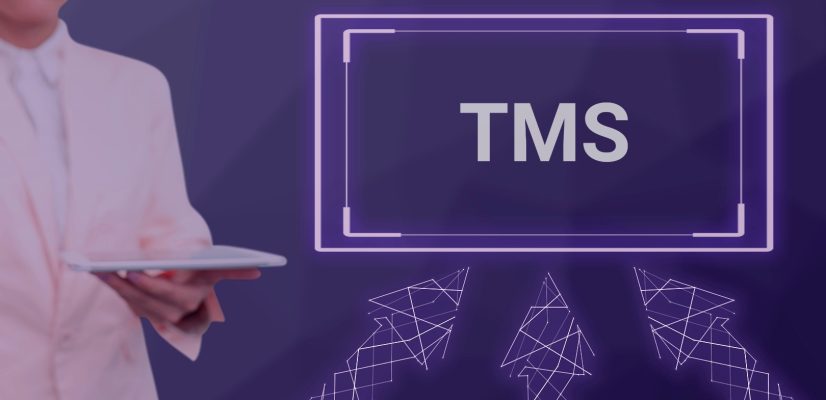The 6 benefits of successful TMS adoption | Part 1 illustration