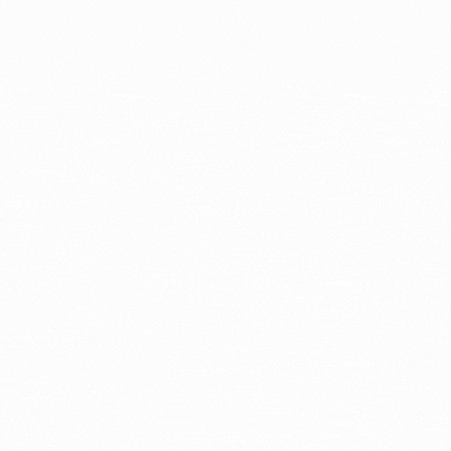 XTM Translation Memory GIF