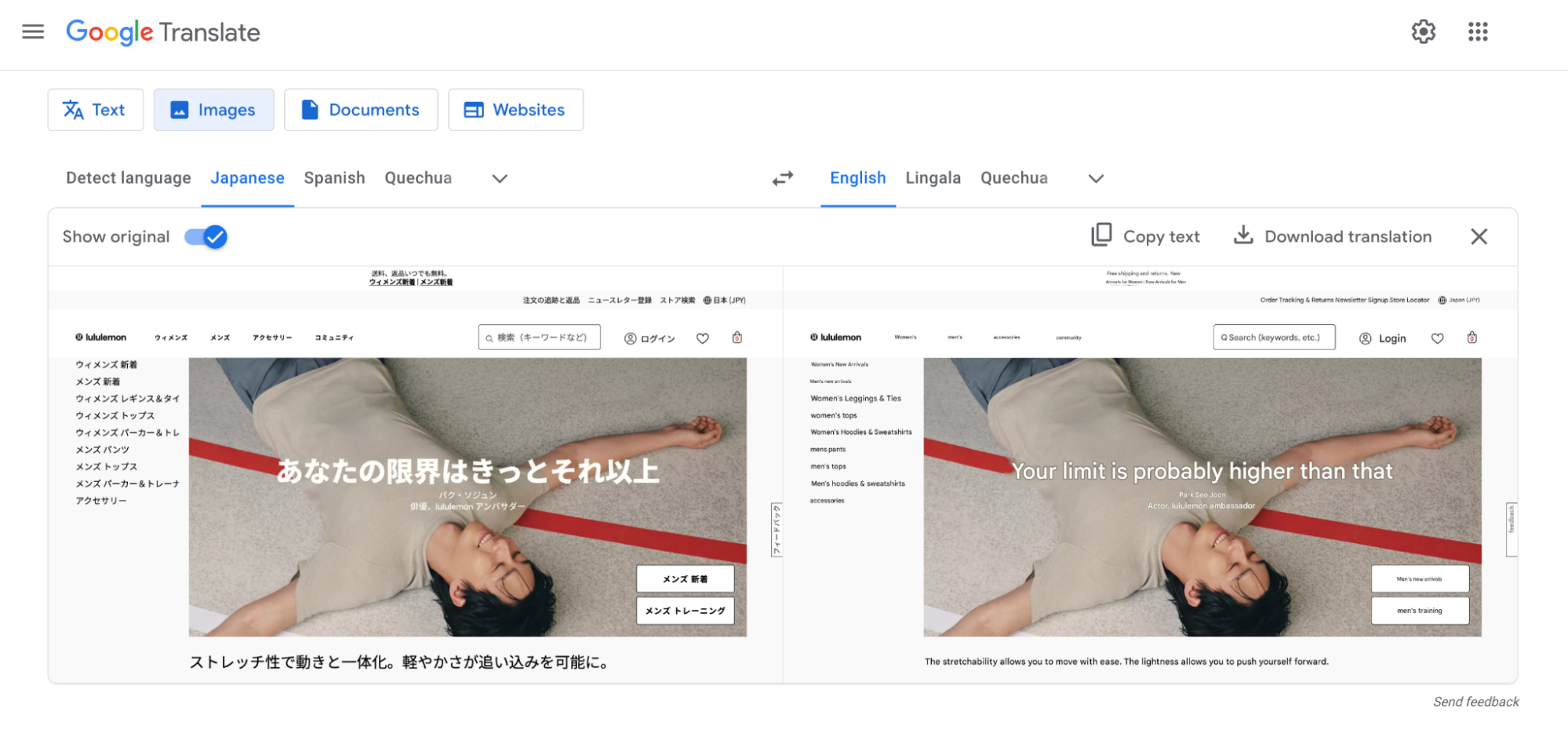 Google Translate Interface